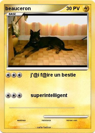 Pokemon beauceron