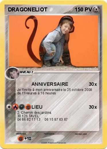 Pokemon DRAGONELIOT