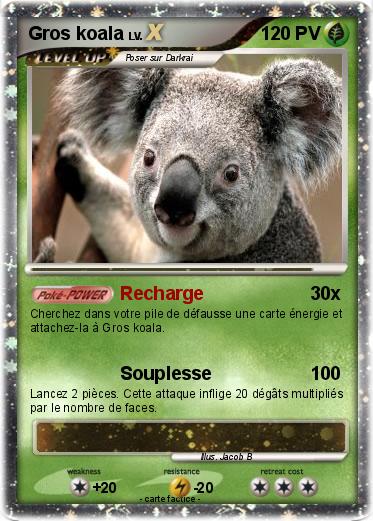 Pokemon Gros koala
