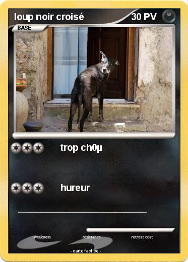 Pokemon loup noir croisé