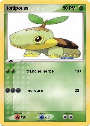 Pokemon tortipouss