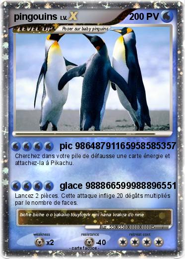 Pokemon pingouins