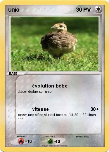 Pokemon unio