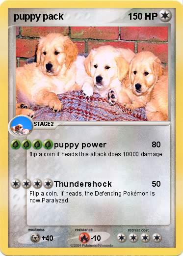 Pokemon puppy pack