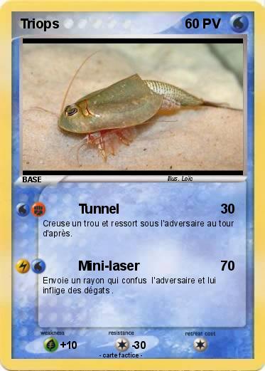 Pokemon Triops