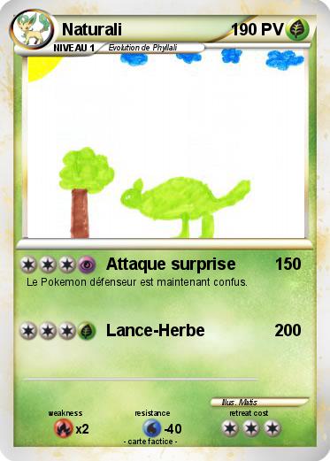 Pokemon Naturali