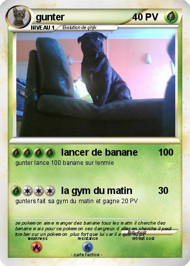 Pokemon gunter