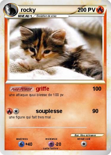 Pokemon rocky
