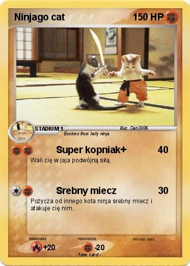 Pokemon Ninjago cat