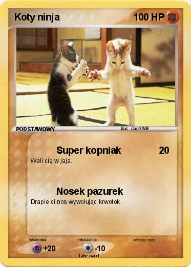 Pokemon Koty ninja