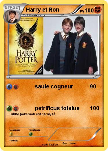 Pokemon Harry et Ron