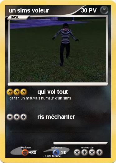 Pokemon un sims voleur