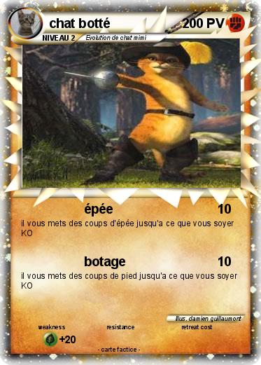 Pokemon chat botté