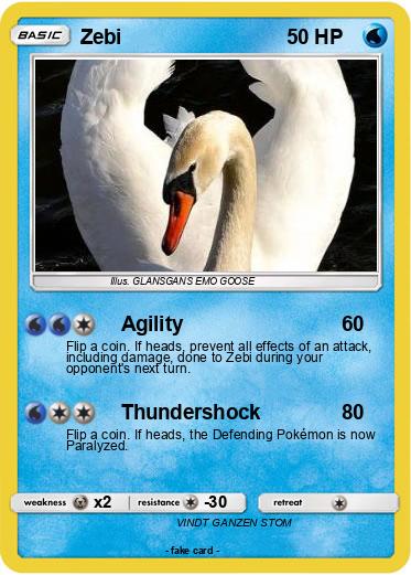 Pokemon Zebi