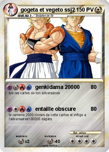 Pokemon gogeta et vegeto ssj2