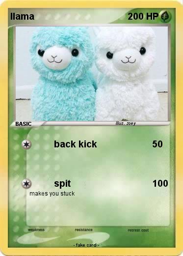 Pokemon llama