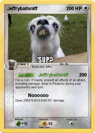 Pokemon Jeffryballsniff