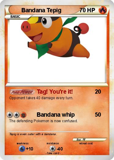 Pokemon Bandana Tepig