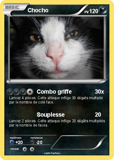 Pokemon Chocho