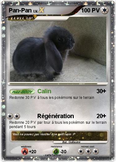 Pokemon Pan-Pan