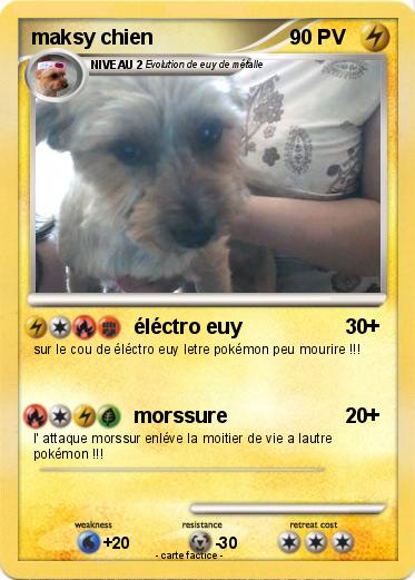 Pokemon maksy chien