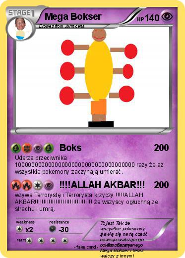 Pokemon Mega Bokser