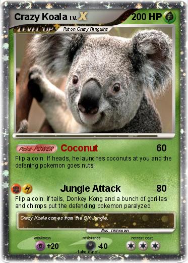 Pokemon Crazy Koala