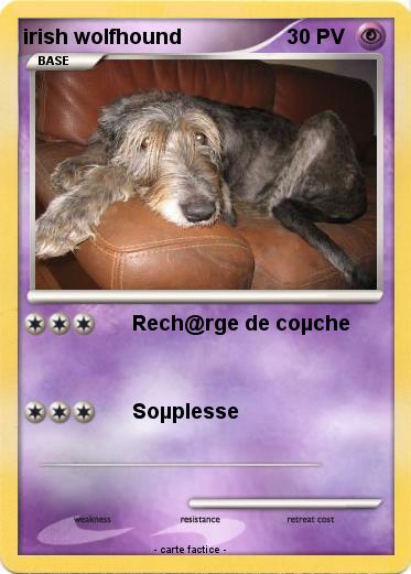 Pokemon irish wolfhound