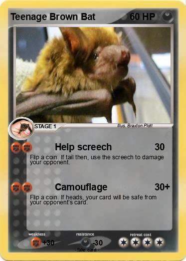 Pokemon Teenage Brown Bat