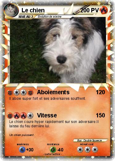 Pokemon Le chien