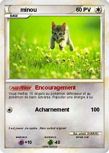 Pokemon minou
