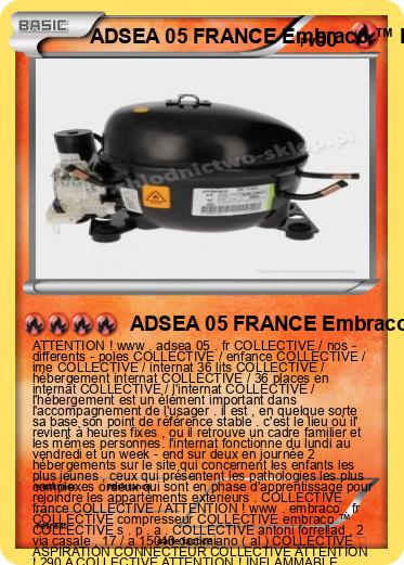 Pokemon ADSEA 05 FRANCE Embraco ™ EMT 6152 U COLLECTIVE FRANCE UNITÉ B INTERNAT FRANCE IME FRANCE