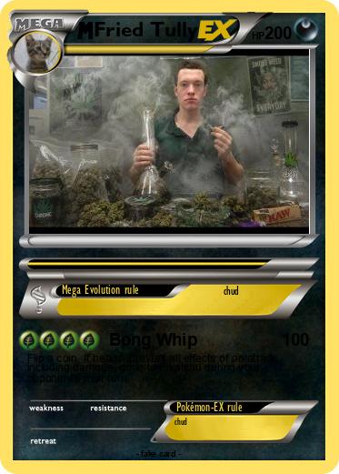 Pokemon Fried Tully