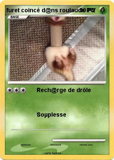 Pokemon furet coincé d@ns roulaude PQ