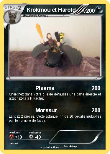 Pokemon Krokmou et Harold