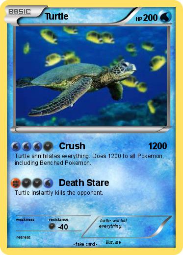 Pokemon Turtle