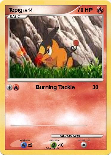 Pokemon Tepig