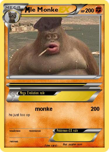Pokemon le Monke