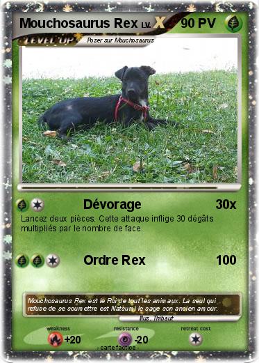Pokemon Mouchosaurus Rex
