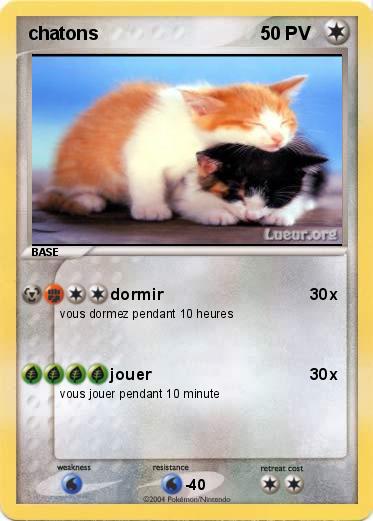 Pokemon chatons 