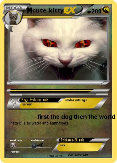 Pokemon cute kitty