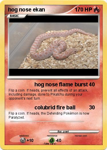 Pokemon hog nose ekan