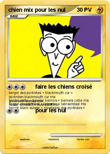 Pokemon chien mix pour les nul