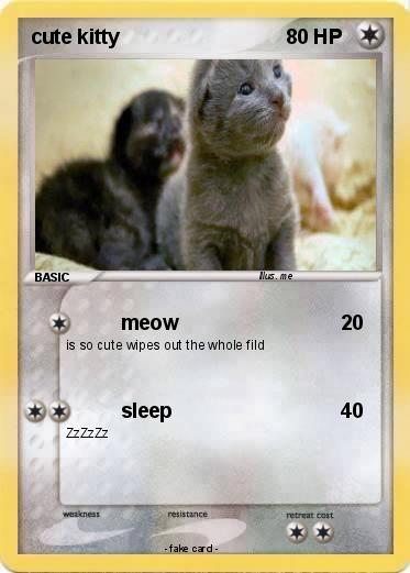 Pokemon cute kitty