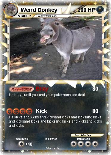Pokemon Weird Donkey