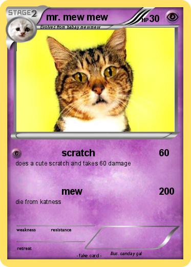 Pokemon mr. mew mew