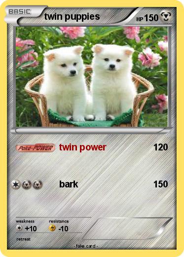 Pokemon twin puppies