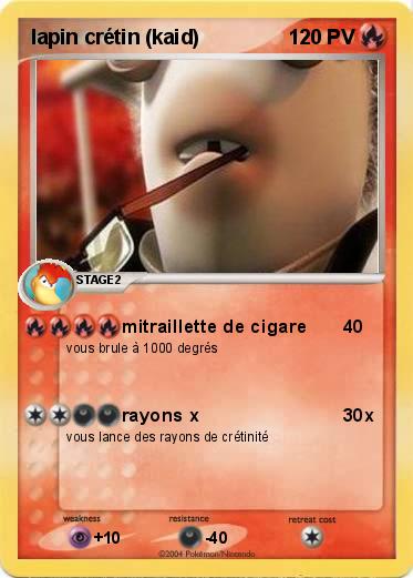 Pokemon lapin crétin (kaid)