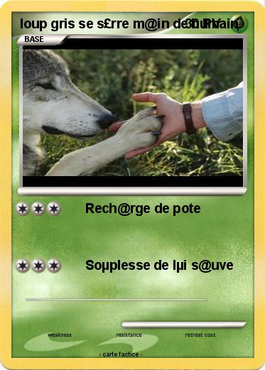 Pokemon loup gris se s£rre m@in de humain