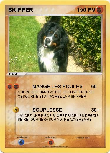Pokemon SKIPPER